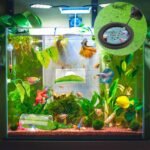 Betta Fish Tank Accessories, 2pcs Betta Tunnel & 2pcs Betta Fish Leaf & Round Fish Feeding Ring Fish Toys Betta Fish Natural Habitat Shelter Hideaway Betta Fish Tank Decorations - Image 7