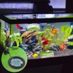 Betta Fish Tank Accessories, 2pcs Betta Tunnel & 2pcs Betta Fish Leaf & Round Fish Feeding Ring Fish Toys Betta Fish Natural Habitat Shelter Hideaway Betta Fish Tank Decorations - Image 8