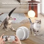 Cat Camera, Indoor Cat Camera with Phone APP, 2-Way Audio Move Freely WiFi Wireless Pet Camera Robot for Dogs and Cats, Auto-Recharging, Privacy Protection - Image 4