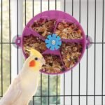 Hypeety Bird Parrot Foraging Toy Creative Seed Food Ball Rotate Wheel Intelligence Growth Training Toy for Parrot Parakeet Cockatiel Conure Lovebird - Image 6
