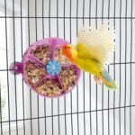 Hypeety Bird Parrot Foraging Toy Creative Seed Food Ball Rotate Wheel Intelligence Growth Training Toy for Parrot Parakeet Cockatiel Conure Lovebird - Image 7
