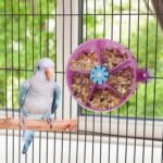 Hypeety Bird Parrot Foraging Toy Creative Seed Food Ball Rotate Wheel Intelligence Growth Training Toy for Parrot Parakeet Cockatiel Conure Lovebird - Image 8