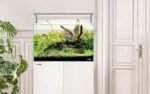LANDEN 60P 16 Gallon Rimless Low Iron Aquarium Tank, 23.6" W × 11.8" D × 14.2" H (60cm x 30cm x 36cm) 6mm Thickness with Nano Foam Leveling Mat - Image 7