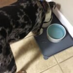 Hoki Found -Waterproof Pet Feeding Mats with High Lips - Multiple Size and Colors for Dogs, Cats & Others-G - Image 6