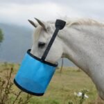 Horse Feed Bag Heavy Duty Textilene Mesh Feed Rite Bag with Adjustable Strap and Comfortable Neck Pad,Reinforced Bottom Stitching,Quick Clip Buckle and Spill-Proof Grain Feed Bag(Blue,L) - Image 9