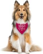 Big Sister Dog Bandana, Dog Bandana, Deep Pink Pet Dog Scarf Accessories, Pet Dog Triangle Scarf, Dog Bandana for Small Medium Dogs, Baby Announcement Dog Bandana, Dog Bandana Pet Scarf (M) - Image 3