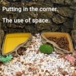 Reptile Feeder Resin Bowl Amphibian Reptile Bowl for Reptile Lizard Gecko Bearded Dragon Turtle - Image 3