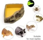 Reptile Feeder Resin Bowl Amphibian Reptile Bowl for Reptile Lizard Gecko Bearded Dragon Turtle - Image 5