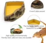Reptile Feeder Resin Bowl Amphibian Reptile Bowl for Reptile Lizard Gecko Bearded Dragon Turtle - Image 6