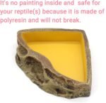 Reptile Feeder Resin Bowl Amphibian Reptile Bowl for Reptile Lizard Gecko Bearded Dragon Turtle - Image 7