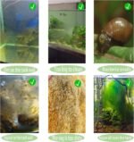 Algae Scraper for Glass Aquariums, Fish Tank Cleaner, Fish Tank Accessories Aquarium Algae Scrapers with 5 Stainless Steel Blades One hexagonal screwdriver, black点击并应用 - Image 6