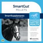 SmartPak SmartGut Pellets | Helps Prevent Stomach Upset Due to Stress | Helps Protect Stomach Lining | Includes Calcium, Magnesium, L Glutamine, and Glycine | 15 lb Bag - Image 4