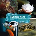 TERA PUMP - Aquarium Gravel Cleaner - Electric Automatic Removable Vacuum Fish Tank Water Changer Sand Washer Algae Cleaner Filter & 10 ft Hose Up to 12 Liters per Min - Image 8