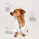 OUAI Fur Bébé Pet Shampoo, Mercer Street Scent - Dog Shampoo and Coat Wash for Hydrating, Cleansing and Adding Shine to Pet Hair - Pet Supplies by OUAI (16 Fl Oz) - Image 3