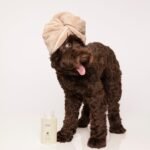 OUAI Fur Bébé Pet Shampoo, Mercer Street Scent - Dog Shampoo and Coat Wash for Hydrating, Cleansing and Adding Shine to Pet Hair - Pet Supplies by OUAI (16 Fl Oz) - Image 8