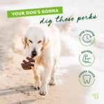 Benebone Fishbone Durable Dog Chew Toy for Aggressive Chewers, Real Fish, Made in USA, Medium - Image 4