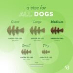 Benebone Fishbone Durable Dog Chew Toy for Aggressive Chewers, Real Fish, Made in USA, Medium - Image 5