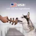 Benebone Fishbone Durable Dog Chew Toy for Aggressive Chewers, Real Fish, Made in USA, Medium - Image 6