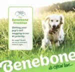 Benebone Fishbone Durable Dog Chew Toy for Aggressive Chewers, Real Fish, Made in USA, Medium - Image 7