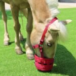 Harrison Howard Horse Grazing Muzzle Feed Bag Comfortable Breathable Horse Feeder with Adjustable Strap Red Medium - Image 7