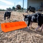 Piggy Trough Livestock Manger Feed Dispenser for Pig Piglet Feed Dispenser Pannage Feeder Farm Supply Livestock Trough Hanging Wall Pig Feeder Plastic Pig Feeder Pig Feeding Trough - Image 3