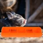 Piggy Trough Livestock Manger Feed Dispenser for Pig Piglet Feed Dispenser Pannage Feeder Farm Supply Livestock Trough Hanging Wall Pig Feeder Plastic Pig Feeder Pig Feeding Trough - Image 7