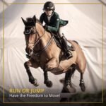 Kavallerie Horse Tendon Boots Pro-K 3D Air-Mesh Horse Boots, Showjumping, Horse Jumping Boots, Lightweight with Breathable Soft Padding for Less Sweat and Rubs - Image 8