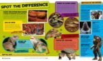 National Geographic Kids Everything Reptiles: Snap Up All the Photos, Facts, and Fun - Image 5