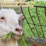 Hay Feeder, 31.5'' Long Horse Goat Hay Rack, 24 Gallon Large Capacity, Heavy Duty Iron Hay Feeder Wall Mount for Horses, Sheep, Goats, Indoor Outdoor Uses, Effortless Installation in Farm, Yield - Image 7