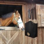 3 Packs Horses Sheep Hay Feeder Bags Nylon Hanging Goat Feeder Tote Bag Large Capacity Slow Feeder Hay Bag - Image 8