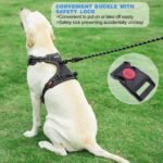 No Pull Dog Harness Adjustable Reflective Oxford Easy Control Medium Large Dog Harness with A Free Heavy Duty 5ft Dog Leash (L (Neck: 18"-25.5", Chest: 24.5"-33"), Blue Harness+Leash) - Image 5