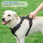 No Pull Dog Harness Adjustable Reflective Oxford Easy Control Medium Large Dog Harness with A Free Heavy Duty 5ft Dog Leash (L (Neck: 18"-25.5", Chest: 24.5"-33"), Blue Harness+Leash) - Image 6