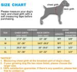 No Pull Dog Harness Adjustable Reflective Oxford Easy Control Medium Large Dog Harness with A Free Heavy Duty 5ft Dog Leash (L (Neck: 18"-25.5", Chest: 24.5"-33"), Blue Harness+Leash) - Image 7