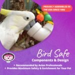 Super Bird Creations SB751 PVC Forager Bird Toy, Medium/Large Bird Size, 3” x 5” x 8” - Image 9