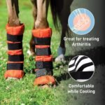 HORZE Pro Ice Boots for Horses, Therapy Gel Wraps with Adjustable Straps | 16.5" x 15.5" Pair with Storage Bag - Blue - One Size - Image 3