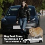 Dog Seat Covers for Back Seat, Dog Car Seat for Tesla Model 3, 100% Waterproof Pet Seat Cover Protects from Scratches, Scuffs, Dog Hammock for Tesla with Mesh Window & Headrest Protection - Image 7