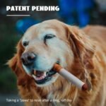 Nocciola Funny Squeaky Dog Toys, Interactive Entertainment Plush Stuffed Pet Chew Supplies for Small Medium Breed, Outdoor Boredom Mental Stimulation Dog Accessories Boy, 3 Packs - Image 3