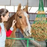 4 Pcs Hay Nets for Horses, Slow Feeder Hay Nets for Forses, Hay Nets for Horses Slow Feed, Hay Net for Goat Cattle Equine Horses Stalls Barn Supplies (Black, Yellow, Green, Blue) (4) - Image 7