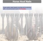 KUIDAMOS 250PCS Horseshoe Nails, Horseshoes Equipment Equestrian Sport Equipment Horse Training Supplies Tool 2.1 Inch E6 Hoof Nails for Horse Race - Image 6