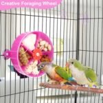 Bird Creative Foraging System Wheel Seed Food Ball Rotate Training Toy for Small and Medium Parrots Parakeet Cockatiel Conure (Purple) - Image 3