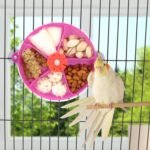 Bird Creative Foraging System Wheel Seed Food Ball Rotate Training Toy for Small and Medium Parrots Parakeet Cockatiel Conure (Purple) - Image 4