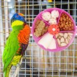 Bird Creative Foraging System Wheel Seed Food Ball Rotate Training Toy for Small and Medium Parrots Parakeet Cockatiel Conure (Purple) - Image 6