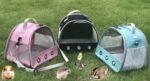 Guinea Pig Carrier Backpack, Clear Bubble Window Backpack for Guinea Pig, Bunny Rat Bird (Black, Carrier) - Image 6