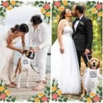 Engagement Gifts, My Humans are Getting Married Dog Bandanas, Wedding Dog Bandanas Outfit, Pet Scarf, Engagement Party Photo Decorations, Pet Accessories for Dog Lovers, Black Ring - Image 6