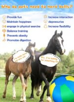 Herding Ball for Dogs: 25" Complete Set Horse Ball Dog Ball with 2 PVC Ball, ‘Horseshoe’ Pump, Tri-Colour Cover, Horse Toys, Collie Ball for Herding Dogs - Image 3