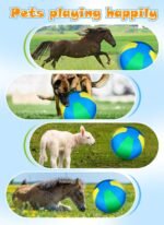 Herding Ball for Dogs: 25" Complete Set Horse Ball Dog Ball with 2 PVC Ball, ‘Horseshoe’ Pump, Tri-Colour Cover, Horse Toys, Collie Ball for Herding Dogs - Image 8