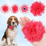 10 Pcs Dog Collar Flowers Chiffon Multi Color Dog Flower Bow Ties 4 Inch Puppy Charms Flower Collars for Puppy Collar Grooming Accessories - Image 5