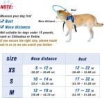 Blind Dog Halo Harness, Protective Halo Dog Collar for Blind Dogs, Confidence Building Harness Guiding Device, Blind Dog Accessories, Middle - Image 3