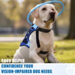 Blind Dog Halo Harness, Protective Halo Dog Collar for Blind Dogs, Confidence Building Harness Guiding Device, Blind Dog Accessories, Middle - Image 5