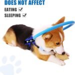 Blind Dog Halo Harness, Protective Halo Dog Collar for Blind Dogs, Confidence Building Harness Guiding Device, Blind Dog Accessories, Middle - Image 7